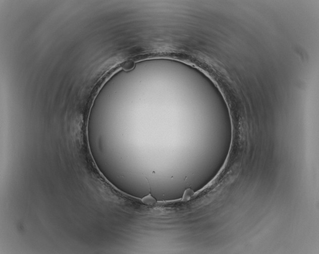 X0000115851265200911131544