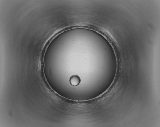 X0000115851268200911131544