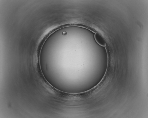 X0000115851270200911131544