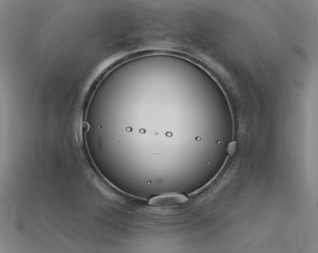 X0000115851272200911131544