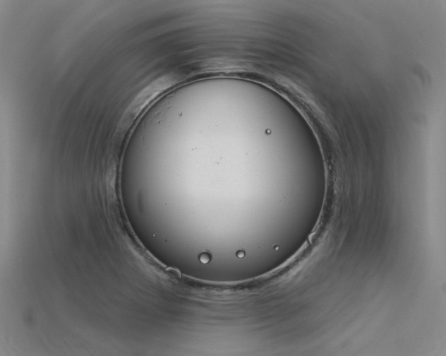 X0000115851273200911131544