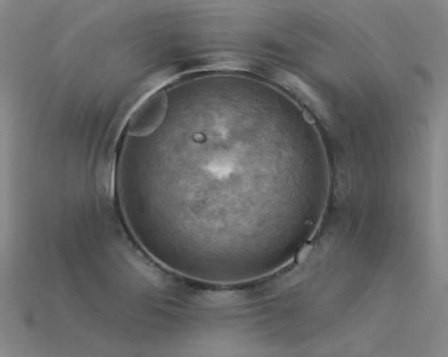 X0000115851276200911131544