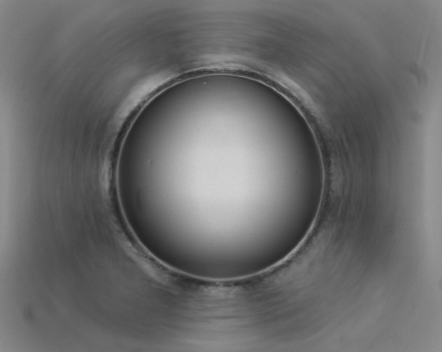 X0000115851277200911131544