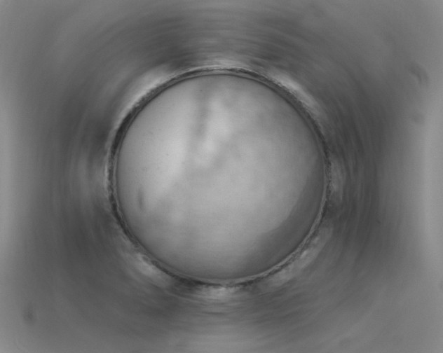 X0000115851278200911131544