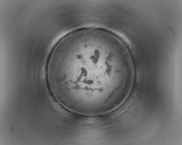 X0000115851279200911131544