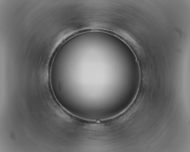 X0000115851280200911131544