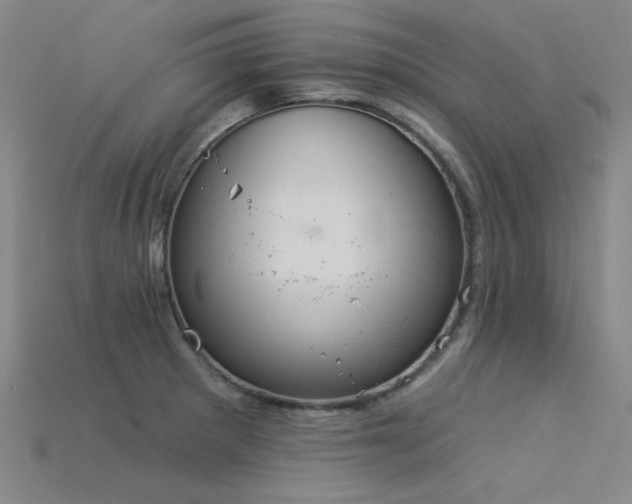 X0000115851281200911131544