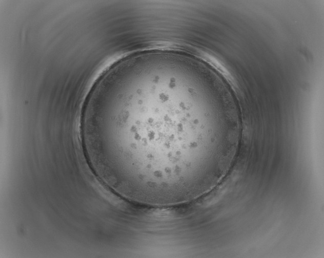 X0000115851283200911131544