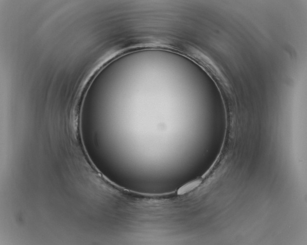 X0000115851284200911131544