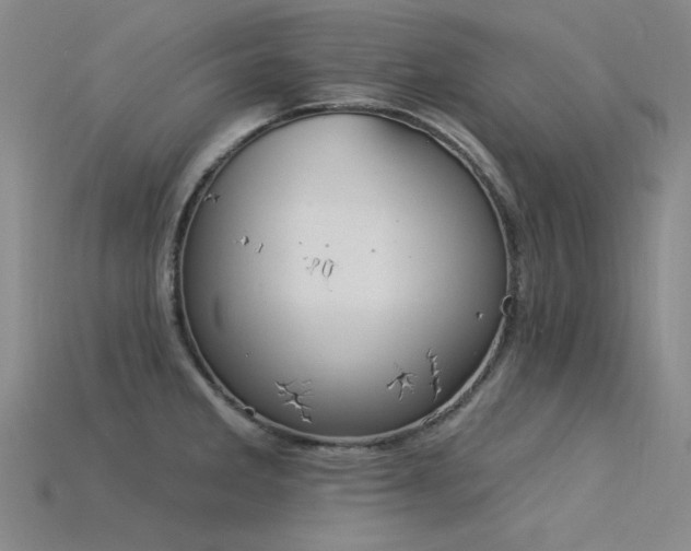 X0000115851285200911131544