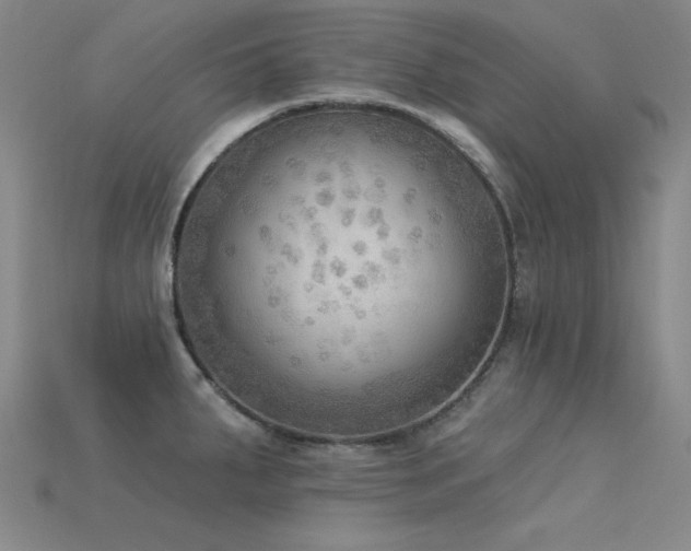 X0000115851287200911131544