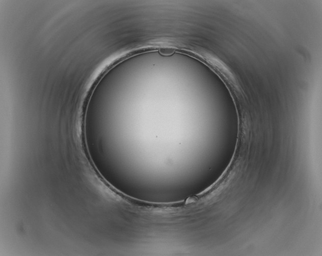 X0000115851288200911131544