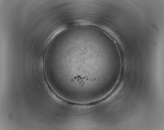 X0000115851289200911131544