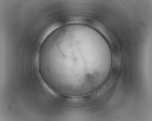 X0000115851290200911131544