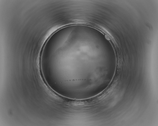 X0000115851291200911131544