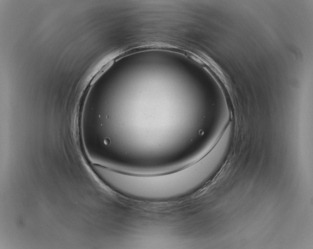 X0000115851293200911131544