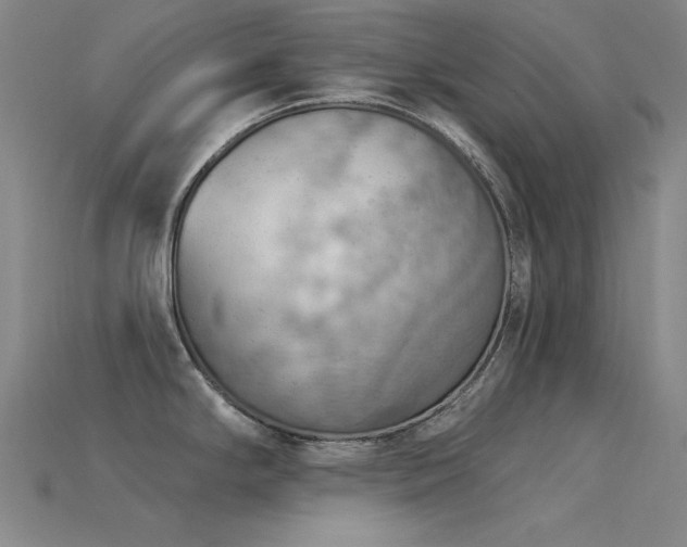 X0000115851294200911131544