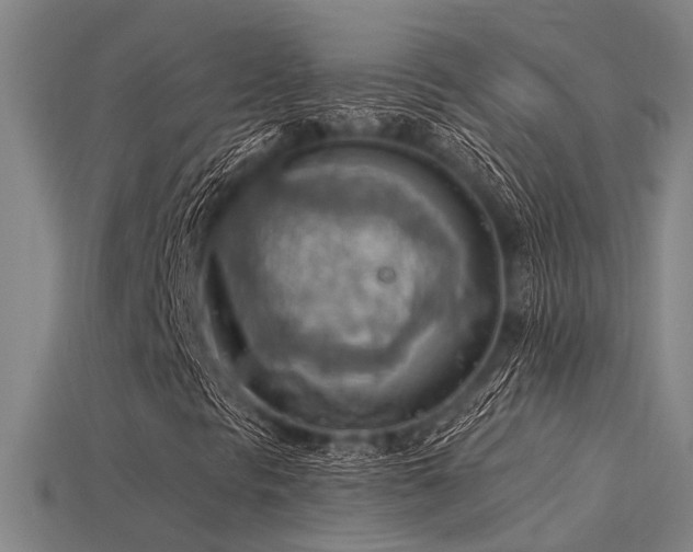 X0000115851297200911131543