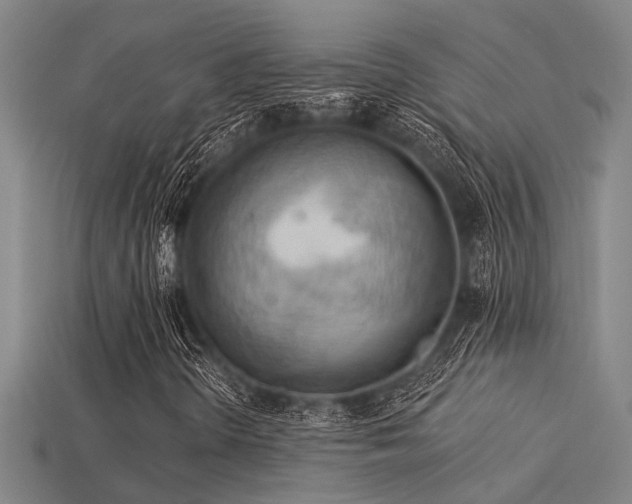 X0000115851298200911131543