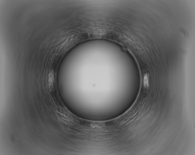 X0000115851299200911131543