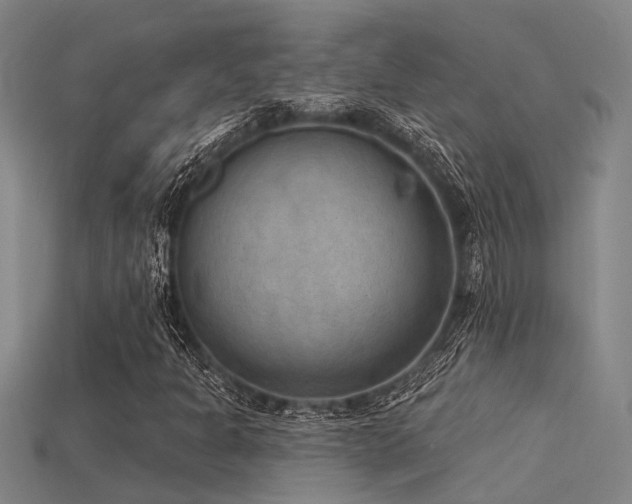 X0000115851301200911131543