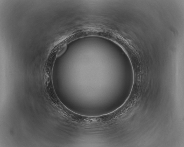 X0000115851303200911131543