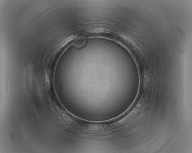 X0000115851305200911131543