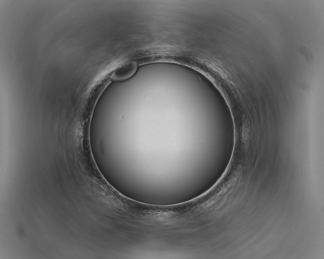X0000115851309200911131543