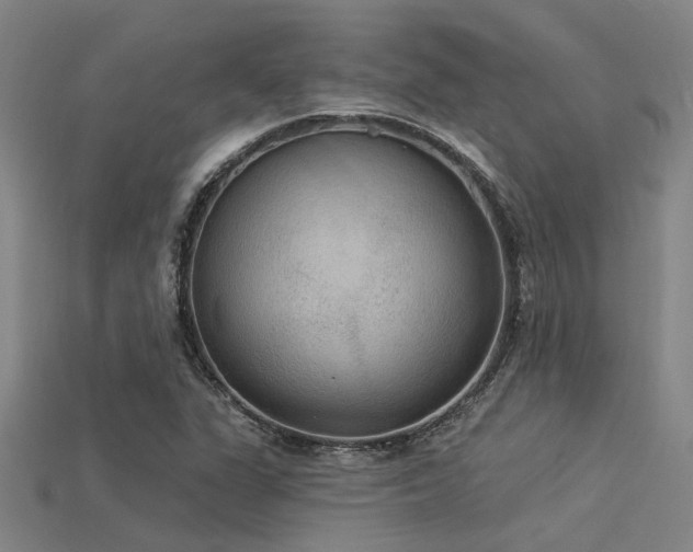 X0000115851311200911131543