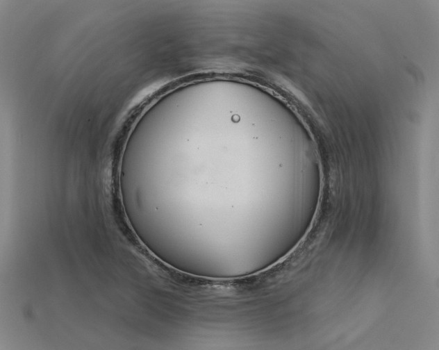 X0000115851315200911131543