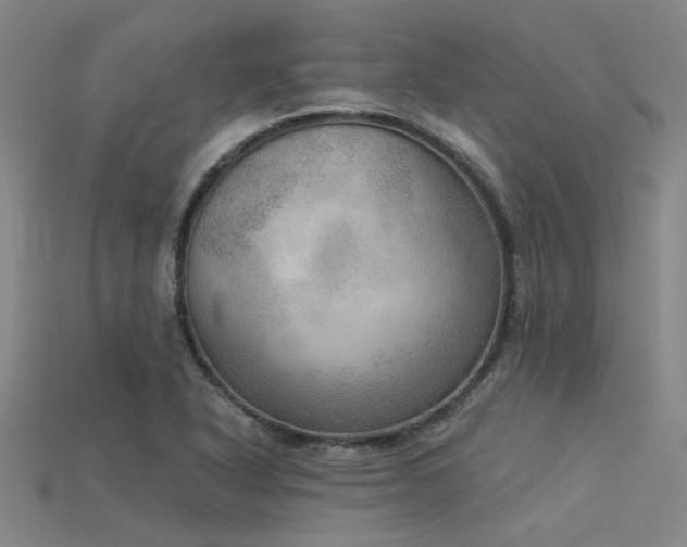 X0000115851318200911131543