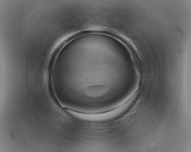 X0000115851319200911131543