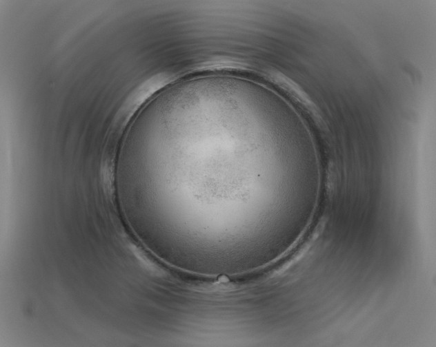 X0000115851321200911131543