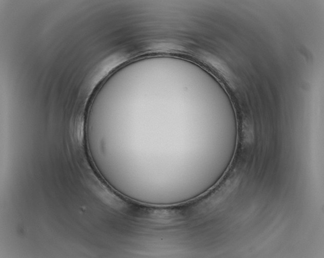 X0000115851322200911131543