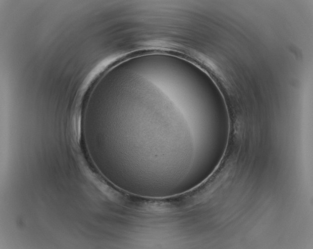 X0000115851323200911131543