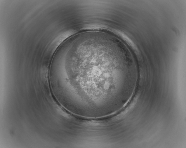 X0000115851329200911131543
