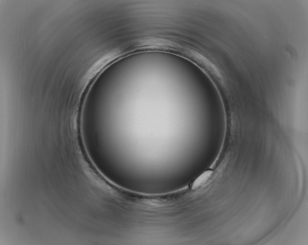X0000115851330200911131543