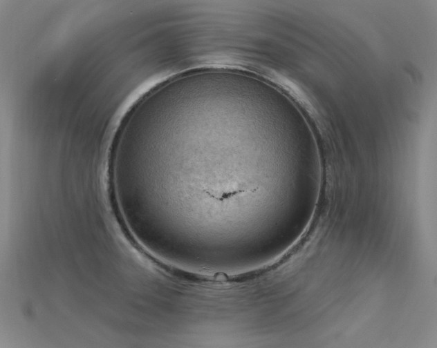 X0000115851331200911131543