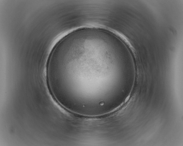 X0000115851335200911131543