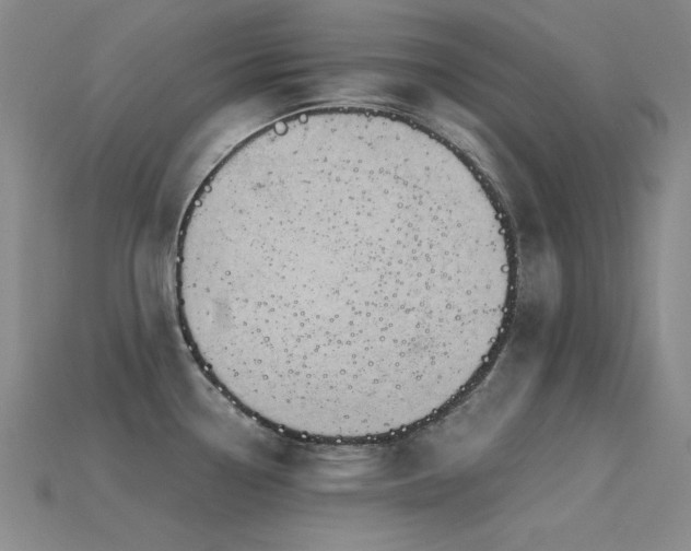X0000115851338200911131543