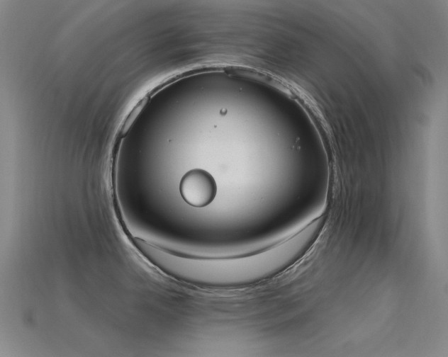 X0000115851342200911131544