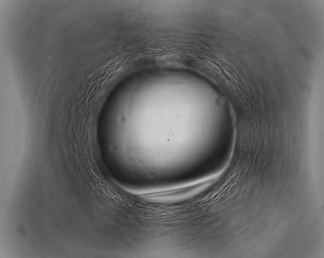 X0000115851345200911131543