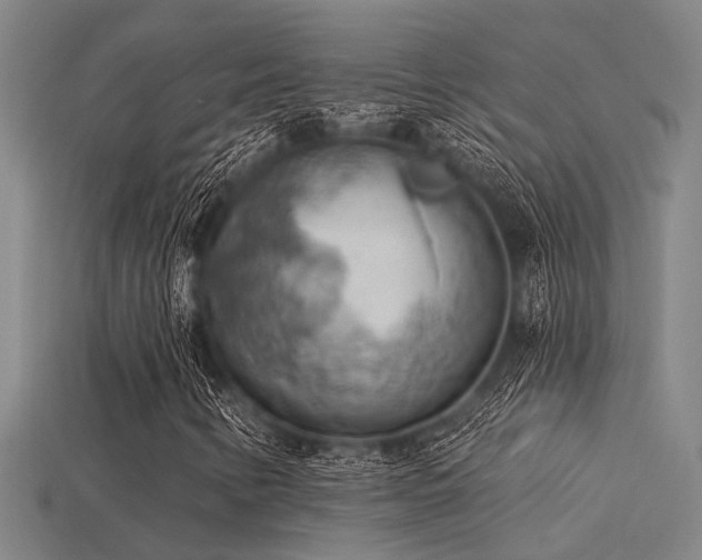 X0000115851346200911131543