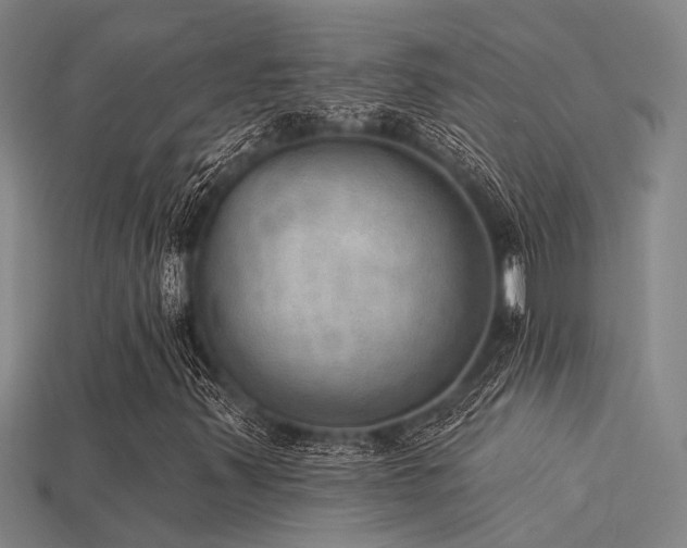 X0000115851347200911131543