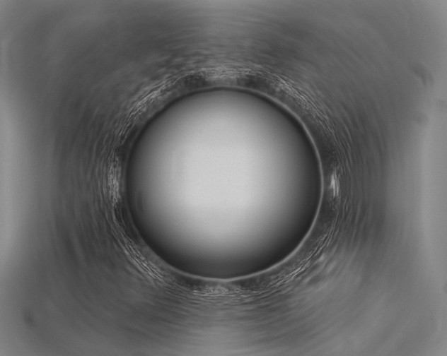 X0000115851348200911131543