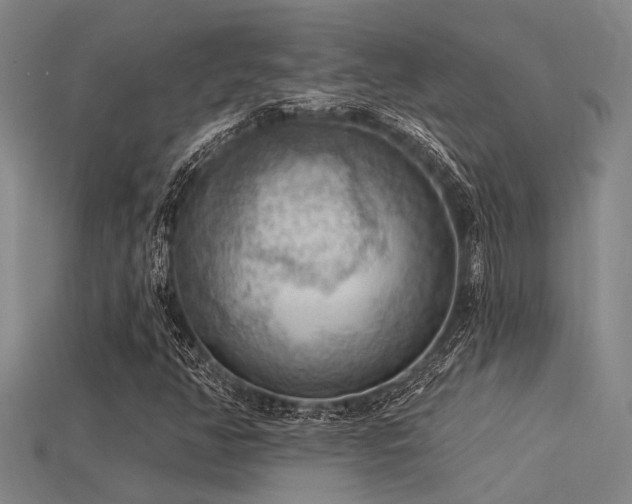 X0000115851350200911131543