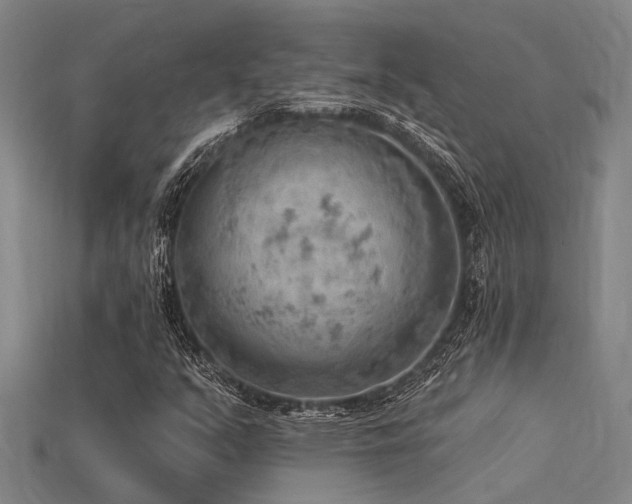 X0000115851351200911131543