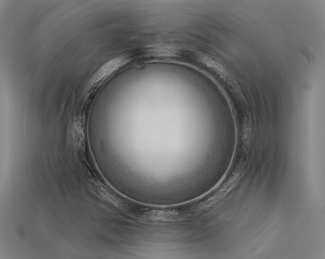 X0000115851354200911131543