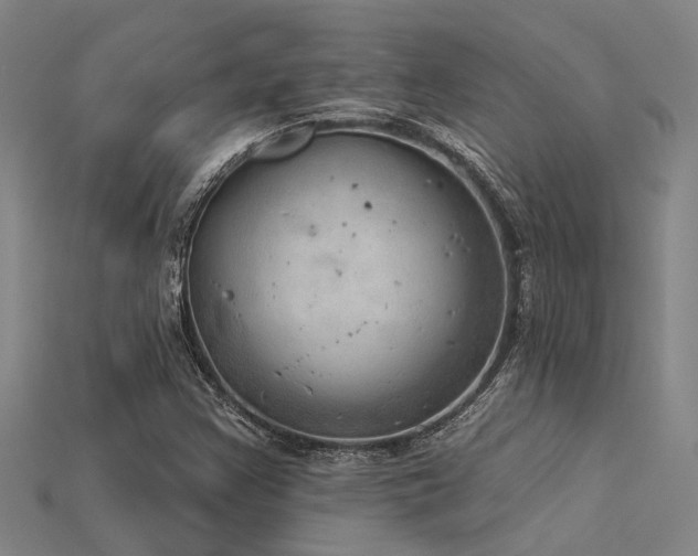 X0000115851355200911131543