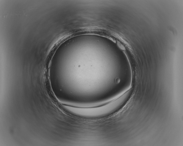 X0000115851357200911131543